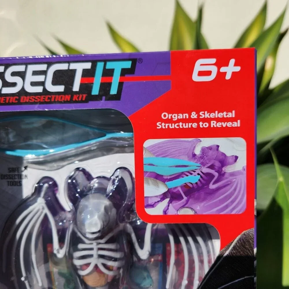 NEW Dissect-it Synthetic Lab Dissection Toy STEM KIT CRAFT Project Bat Biology